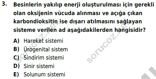 auzef cocukgelisimlisans 51 3