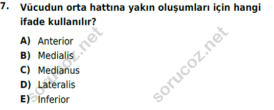 auzef cocukgelisimlisans 51 7