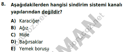 auzef cocukgelisimlisans 51 8