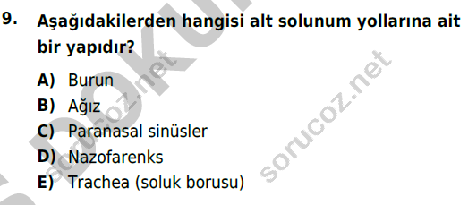 auzef cocukgelisimlisans 51 9