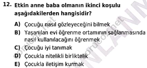 auzef cocukgelisimlisans 93 12