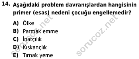 auzef cocukgelisimlisans 93 14