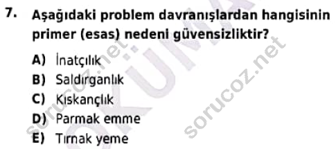 auzef cocukgelisimlisans 93 7