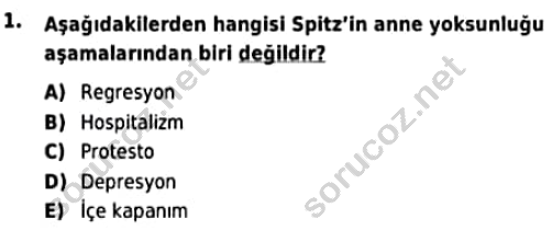 auzef cocukgelisimlisans 93 1