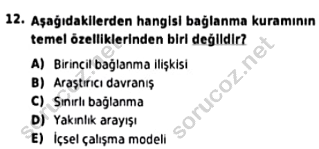 auzef cocukgelisimlisans 93 12