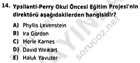 auzef cocukgelisimlisans 93 14