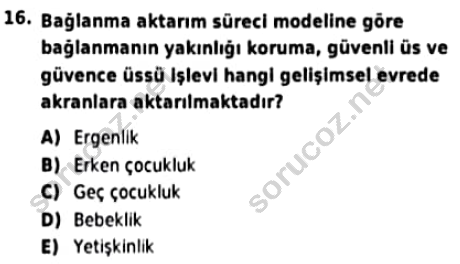 auzef cocukgelisimlisans 93 16