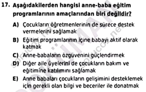 auzef cocukgelisimlisans 93 17