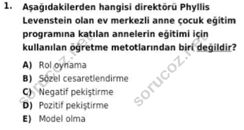 auzef cocukgelisimlisans 93 1