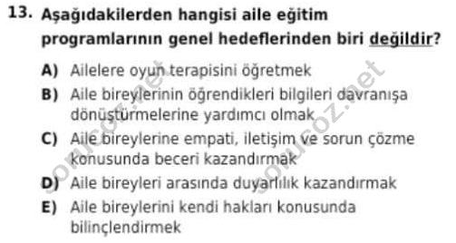 auzef cocukgelisimlisans 93 13