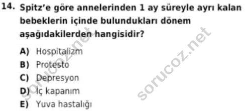 auzef cocukgelisimlisans 93 14