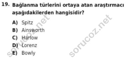 auzef cocukgelisimlisans 93 19