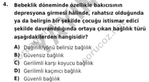 auzef cocukgelisimlisans 93 4