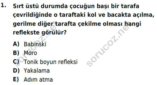 auzef cocukgelisimlisans 69 1