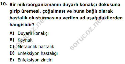 auzef cocukgelisimlisans 69 10