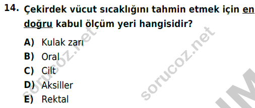 auzef cocukgelisimlisans 69 14