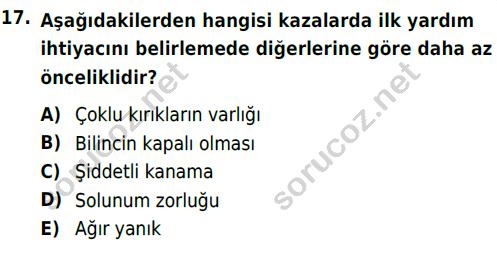 auzef cocukgelisimlisans 69 17