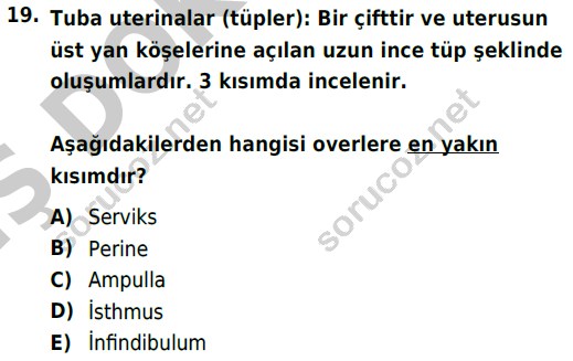 auzef cocukgelisimlisans 69 19