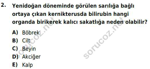 auzef cocukgelisimlisans 69 2