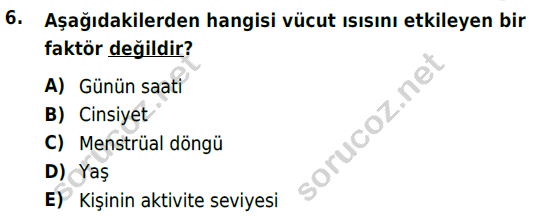 auzef cocukgelisimlisans 69 6