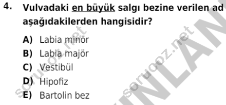 auzef cocukgelisimlisans 69 4