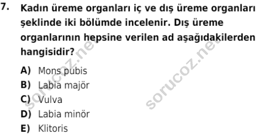 auzef cocukgelisimlisans 69 7