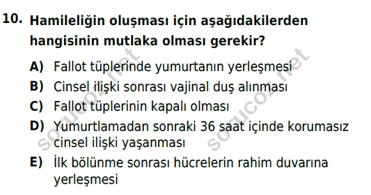 auzef cocukgelisimlisans 69 10