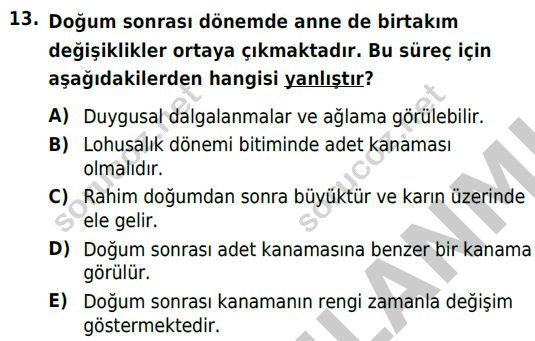 auzef cocukgelisimlisans 69 13