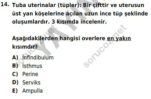 auzef cocukgelisimlisans 69 14