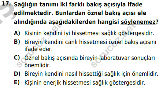 auzef cocukgelisimlisans 69 17