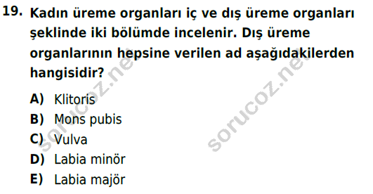 auzef cocukgelisimlisans 69 19