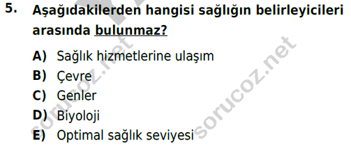 auzef cocukgelisimlisans 69 5