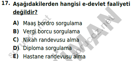 auzef 001231