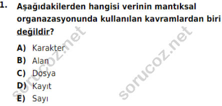 auzef 001235