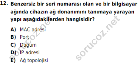auzef 001246