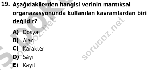 auzef 001273