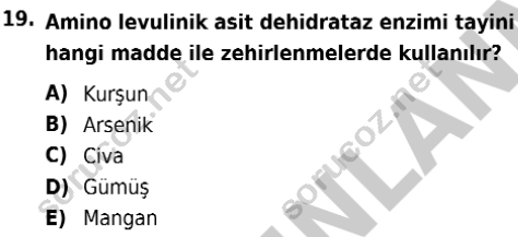 auzef isglisans 338 19