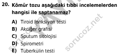 auzef isglisans 338 20