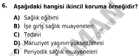 auzef isglisans 338 6