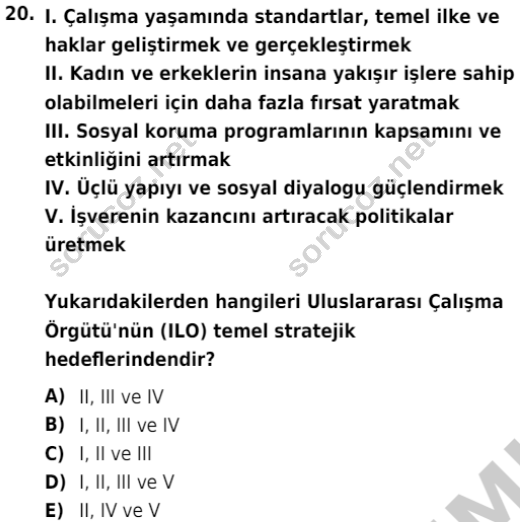 auzef isglisans 338 20