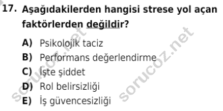 auzef isglisans 363 17