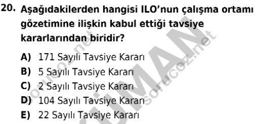 auzef isglisans 363 20