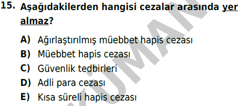 auzef 002078