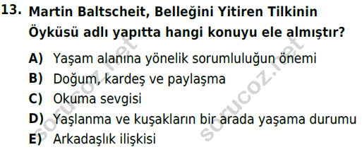 auzef cocukgelisimlisans 70 13