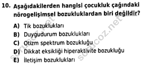 auzef cocukgelisimlisans 94 10