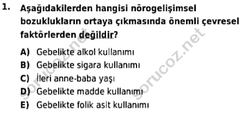 auzef cocukgelisimlisans 94 1