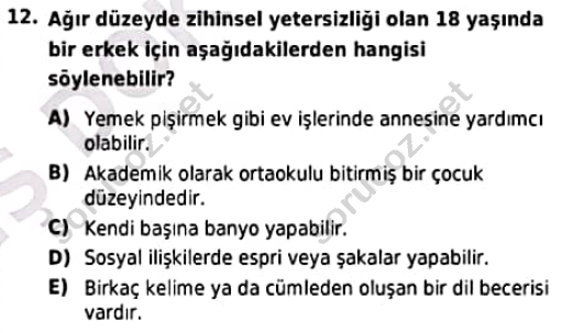 auzef cocukgelisimlisans 94 12