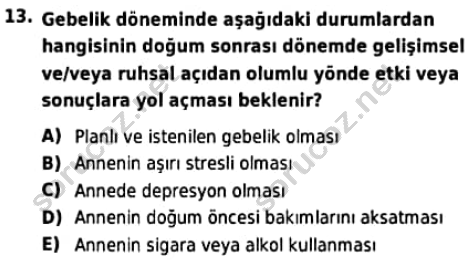 auzef cocukgelisimlisans 94 13