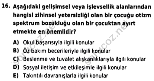 auzef cocukgelisimlisans 94 16