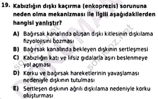 auzef cocukgelisimlisans 94 19